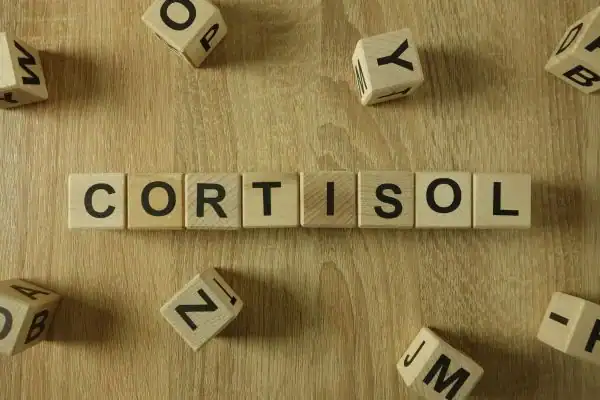 The Hidden Connection: How Stress Shapes Your Fitness and Body Composition 2 Image saying "Cortisol" and how stress Leicester impacts your wellbeing and bodies shape